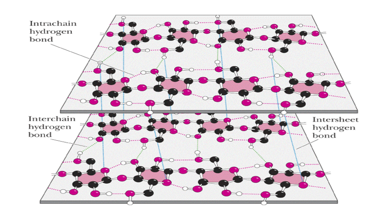 Solved questions on Polysaccharides